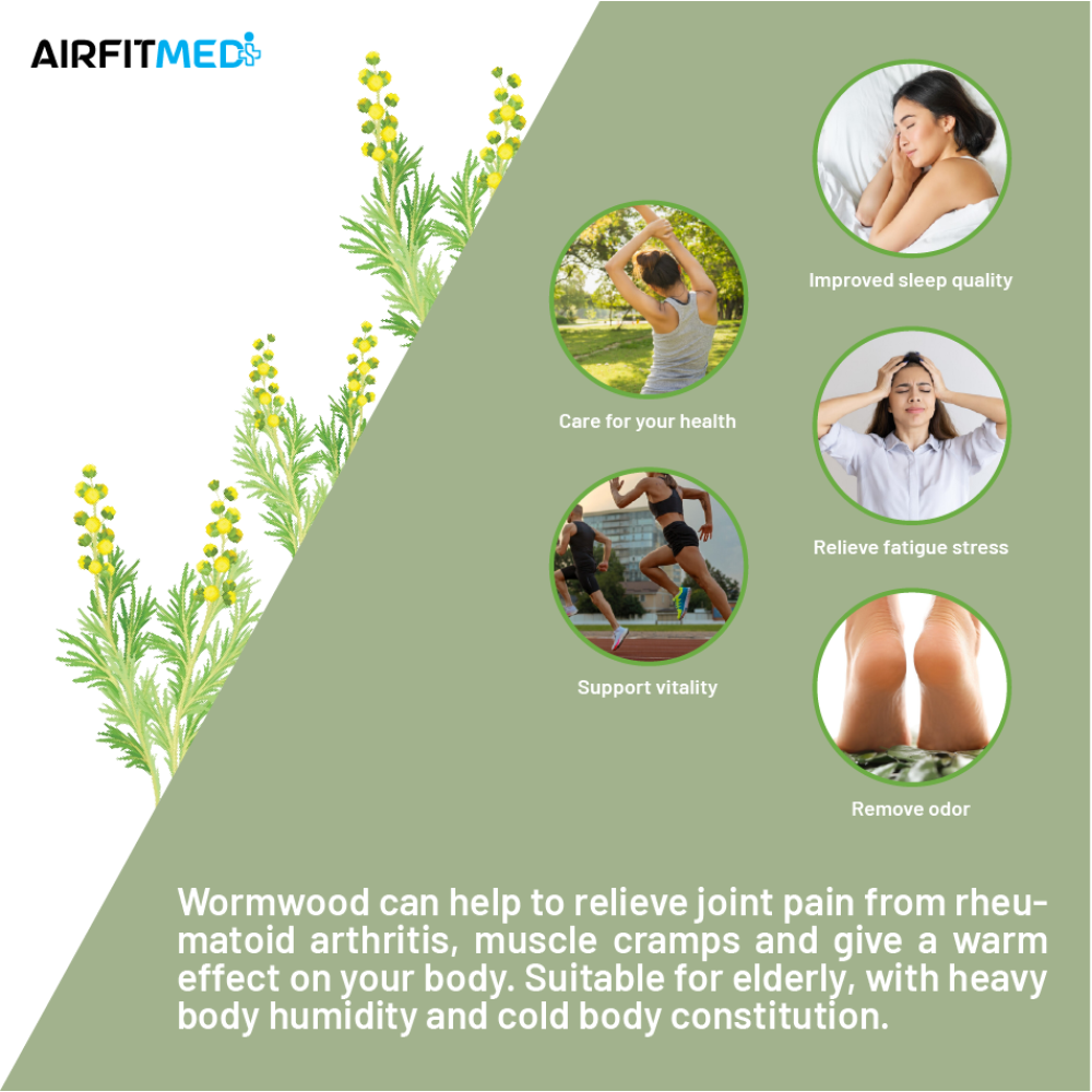 AF Medi Detox Foot Patch - 10 patches (Wormwood)